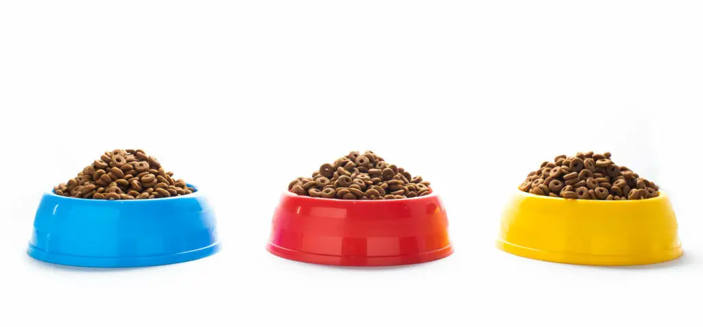 Plastic cold filled with dry dog food insulated on a white background