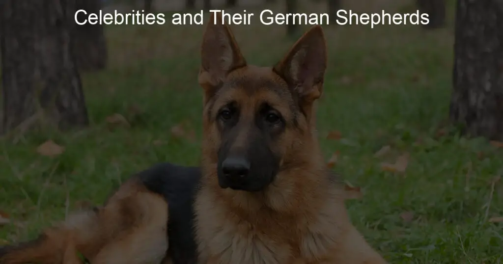 celebrities and their german shepherds