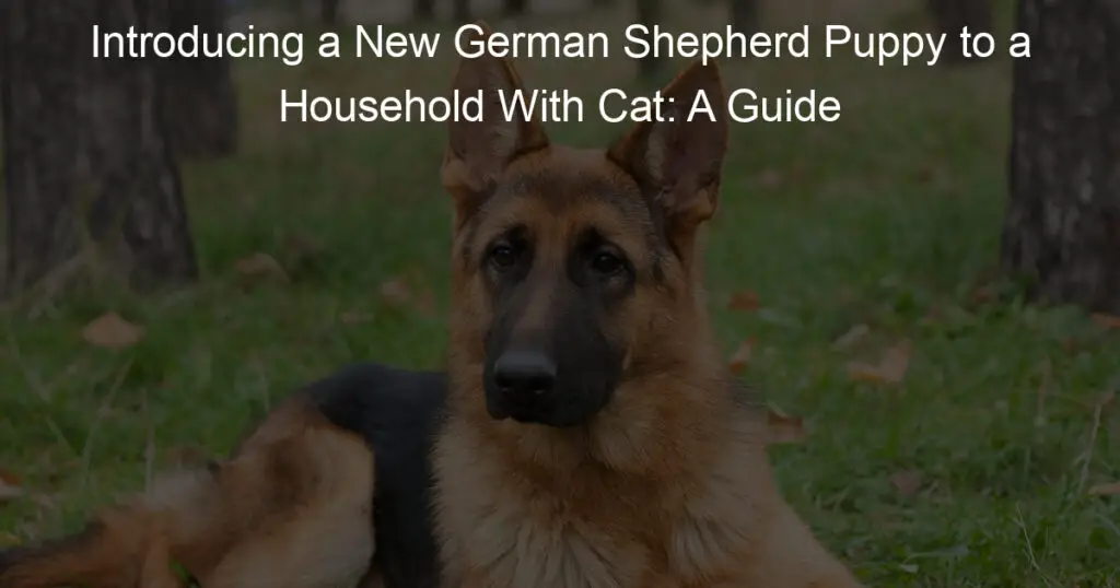 introducing a new german shepherd puppy to a household with cat a guide