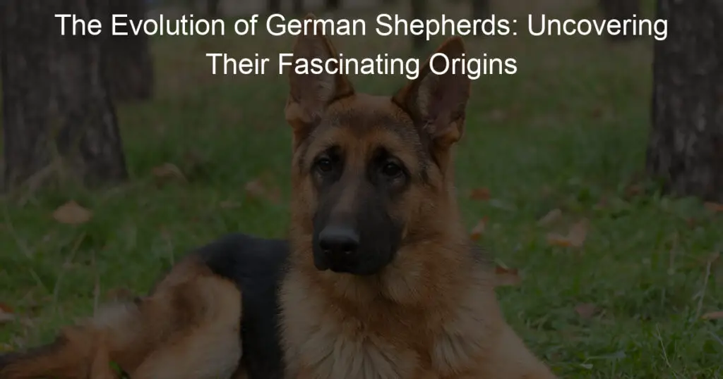 The Evolution of German Shepherds: Uncovering Their Fascinating Origins ...